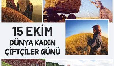 15 Ekim Dünya Kadın Çiftçiler Günü: Toprağın Kalbi Kadın Emeğiyle Atıyor