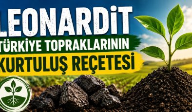 Toprağın Sessiz Gücü: Leonardit Türkiye Tarımının Yeni Umudu mu?