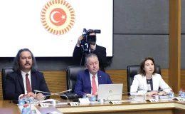 TİMBİR Akademik Kurul Başkanı Prof. Dr. Kamer’den TBMM’de dijital güvenlik sunumu: “Çocukların dijital güvenliği artırılmalı”