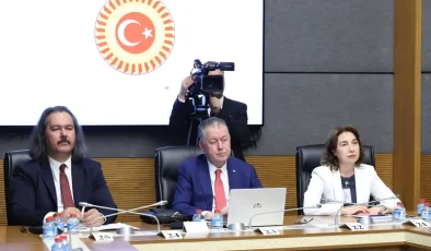 TİMBİR Akademik Kurul Başkanı Prof. Dr. Kamer’den TBMM’de dijital güvenlik sunumu: “Çocukların dijital güvenliği artırılmalı”